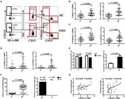 Myeloid-Derived Suppressor Cells Promote the Progression of Primary Membranous Nephropathy by Enhancing Th17 Response